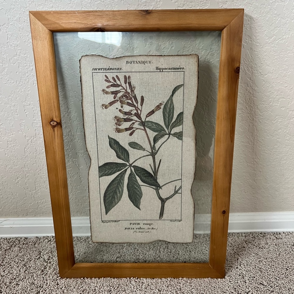 Botanical Wall Art
